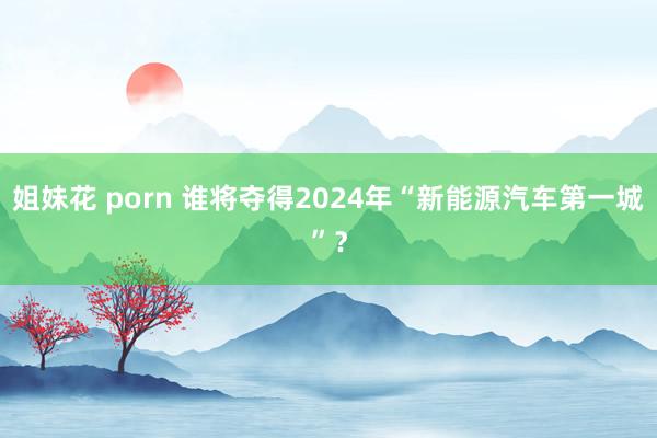 姐妹花 porn 谁将夺得2024年“新能源汽车第一城”？