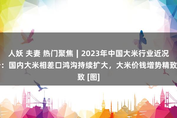 人妖 夫妻 热门聚焦∣2023年中国大米行业近况分析：国内大米相差口鸿沟持续扩大，大米价钱增势精致 [图]