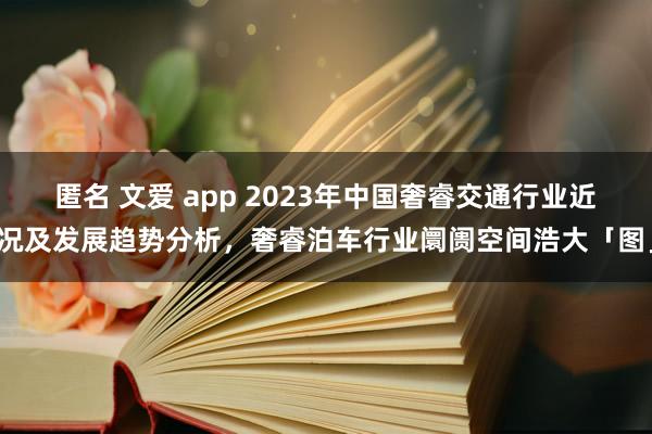 匿名 文爱 app 2023年中国奢睿交通行业近况及发展趋势分析，奢睿泊车行业阛阓空间浩大「图」