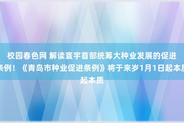 校园春色网 解读寰宇首部统筹大种业发展的促进条例！《青岛市种业促进条例》将于来岁1月1日起本质