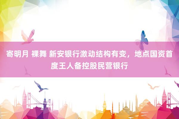 寄明月 裸舞 新安银行激动结构有变，地点国资首度王人备控股民营银行