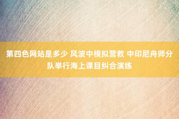 第四色网站是多少 风波中模拟营救 中印尼舟师分队举行海上课目纠合演练