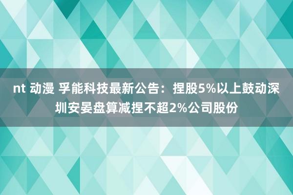 nt 动漫 孚能科技最新公告：捏股5%以上鼓动深圳安晏盘算减捏不超2%公司股份