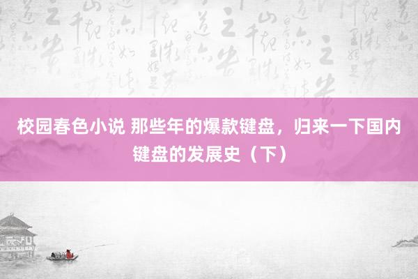 校园春色小说 那些年的爆款键盘，归来一下国内键盘的发展史（下）