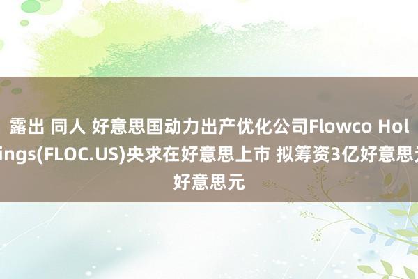 露出 同人 好意思国动力出产优化公司Flowco Holdings(FLOC.US)央求在好意思上市 拟筹资3亿好意思元