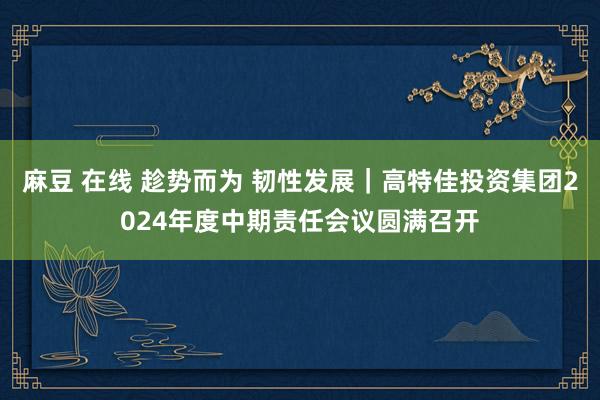 麻豆 在线 趁势而为 韧性发展｜高特佳投资集团2024年度中期责任会议圆满召开