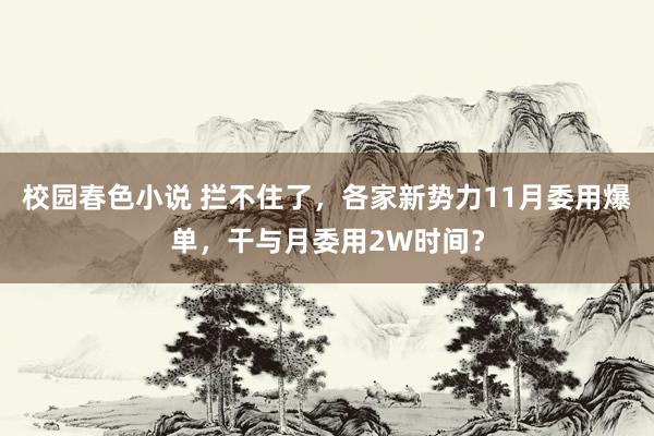 校园春色小说 拦不住了，各家新势力11月委用爆单，干与月委用2W时间？