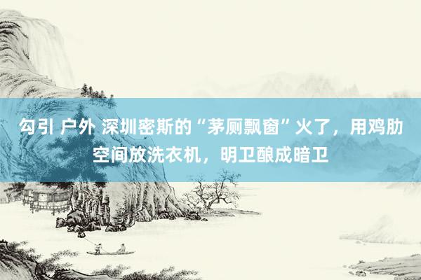 勾引 户外 深圳密斯的“茅厕飘窗”火了，用鸡肋空间放洗衣机，明卫酿成暗卫