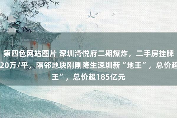 第四色网站图片 深圳湾悦府二期爆炸，二手房挂牌价大批超20万/平，隔邻地块刚刚降生深圳新“地王”，总价超185亿元