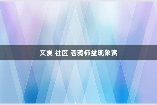 文爱 社区 老鸦柿盆现象赏