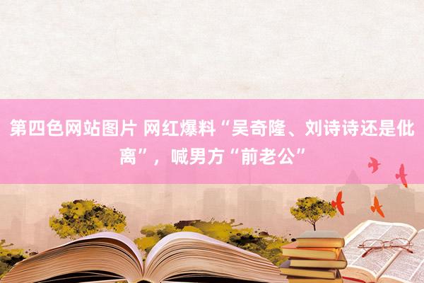 第四色网站图片 网红爆料“吴奇隆、刘诗诗还是仳离”，喊男方“前老公”