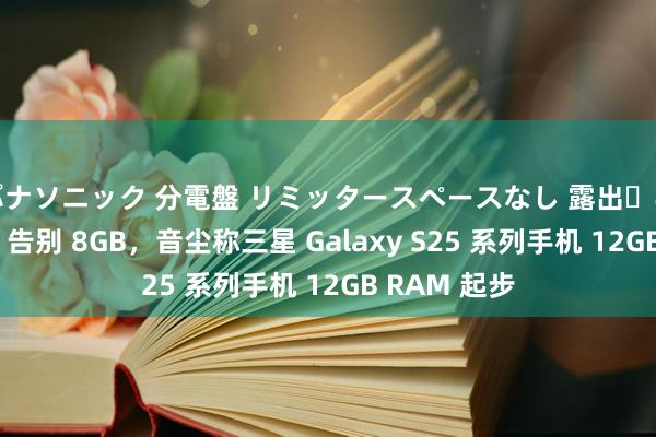 パナソニック 分電盤 リミッタースペースなし 露出・半埋込両用形 告别 8GB，音尘称三星 Galaxy S25 系列手机 12GB RAM 起步