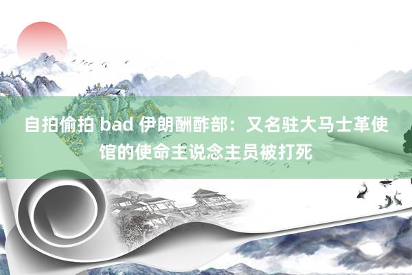 自拍偷拍 bad 伊朗酬酢部：又名驻大马士革使馆的使命主说念主员被打死