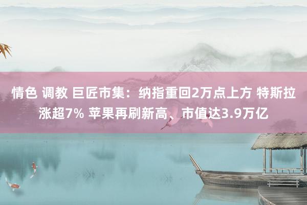 情色 调教 巨匠市集：纳指重回2万点上方 特斯拉涨超7% 苹果再刷新高、市值达3.9万亿