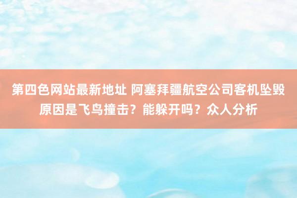 第四色网站最新地址 阿塞拜疆航空公司客机坠毁原因是飞鸟撞击？能躲开吗？众人分析