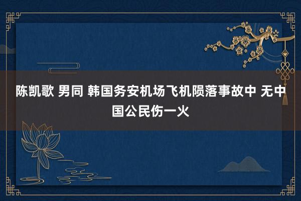 陈凯歌 男同 韩国务安机场飞机陨落事故中 无中国公民伤一火