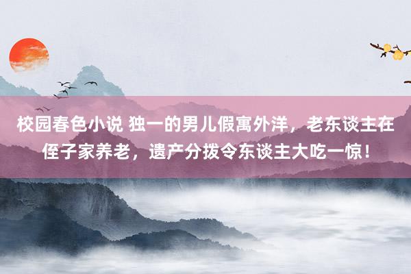 校园春色小说 独一的男儿假寓外洋，老东谈主在侄子家养老，遗产分拨令东谈主大吃一惊！