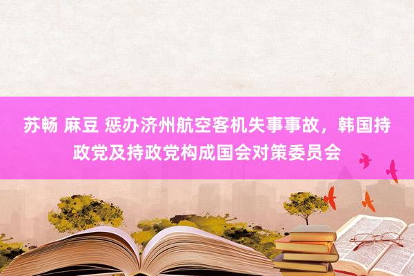 苏畅 麻豆 惩办济州航空客机失事事故，韩国持政党及持政党构成国会对策委员会