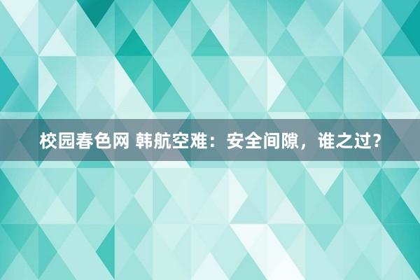 校园春色网 韩航空难：安全间隙，谁之过？