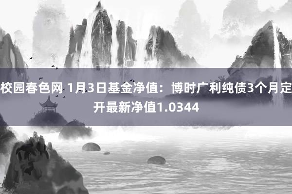 校园春色网 1月3日基金净值：博时广利纯债3个月定开最新净值1.0344