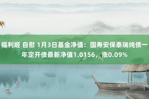 福利姬 自慰 1月3日基金净值：国寿安保泰瑞纯债一年定开债最新净值1.0156，涨0.09%