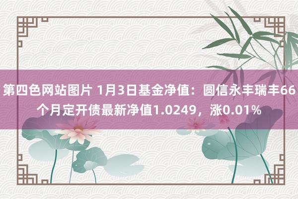 第四色网站图片 1月3日基金净值：圆信永丰瑞丰66个月定开债最新净值1.0249，涨0.01%