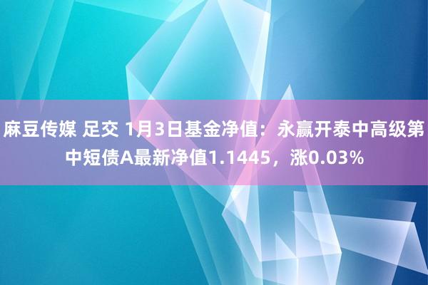 麻豆传媒 足交 1月3日基金净值：永赢开泰中高级第中短债A最新净值1.1445，涨0.03%