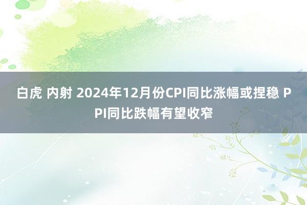 白虎 内射 2024年12月份CPI同比涨幅或捏稳 PPI同比跌幅有望收窄