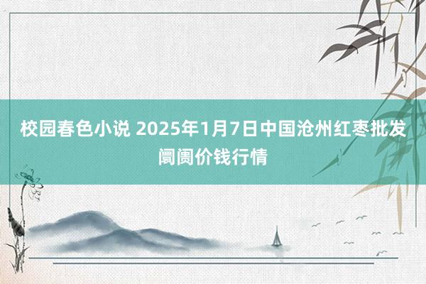 校园春色小说 2025年1月7日中国沧州红枣批发阛阓价钱行情