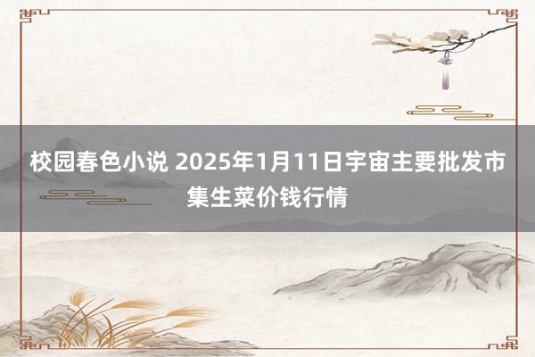 校园春色小说 2025年1月11日宇宙主要批发市集生菜价钱行情