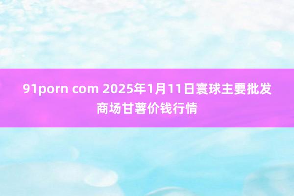 91porn com 2025年1月11日寰球主要批发商场甘薯价钱行情