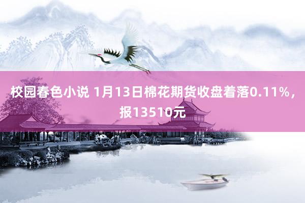 校园春色小说 1月13日棉花期货收盘着落0.11%，报13510元