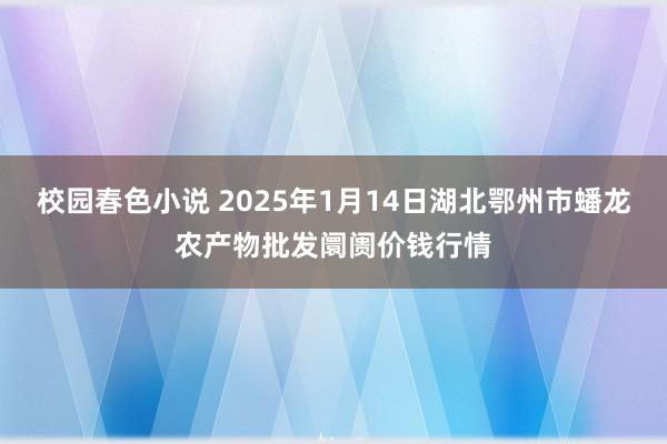 校园春色小说 2025年1月14日湖北鄂州市蟠龙农产物批发阛阓价钱行情