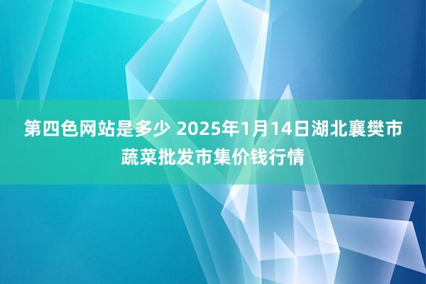 第四色网站是多少 2025年1月14日湖北襄樊市蔬菜批发市集价钱行情