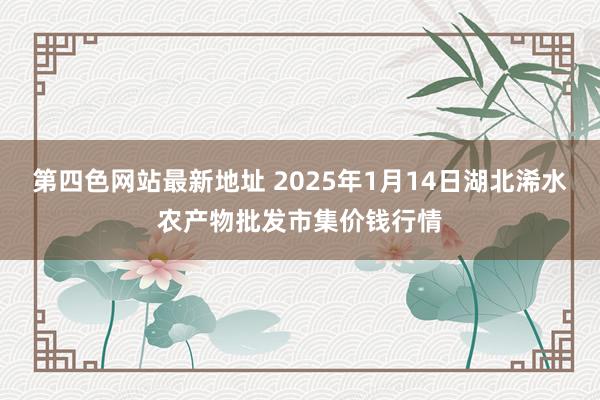 第四色网站最新地址 2025年1月14日湖北浠水农产物批发市集价钱行情