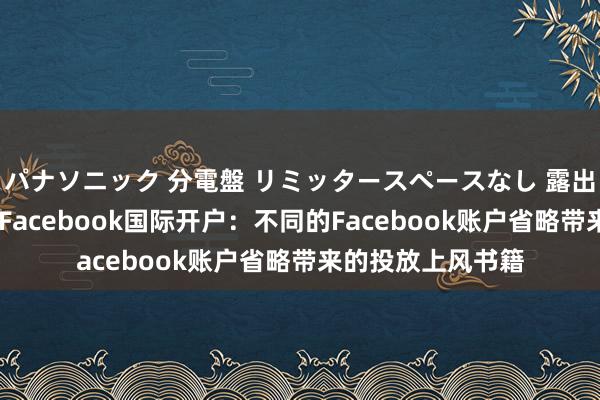 パナソニック 分電盤 リミッタースペースなし 露出・半埋込両用形 Facebook国际开户：不同的Facebook账户省略带来的投放上风书籍