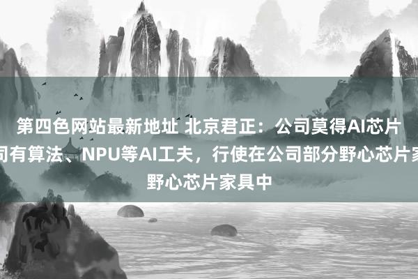 第四色网站最新地址 北京君正：公司莫得AI芯片，我司有算法、NPU等AI工夫，行使在公司部分野心芯片家具中