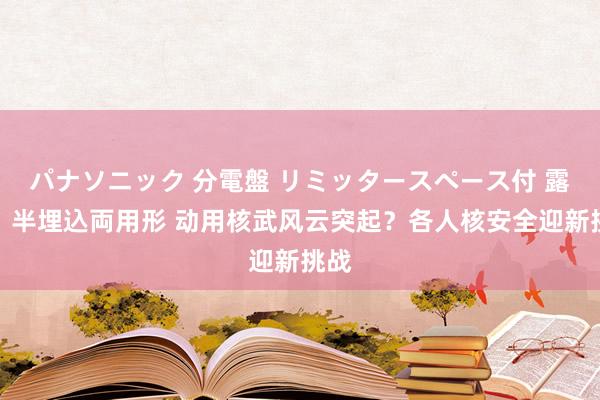 パナソニック 分電盤 リミッタースペース付 露出・半埋込両用形 动用核武风云突起？各人核安全迎新挑战