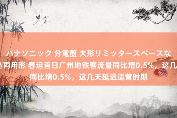 パナソニック 分電盤 大形リミッタースペースなし 露出・半埋込両用形 春运首日广州地铁客流量同比增0.5%，这几天延迟运营时期